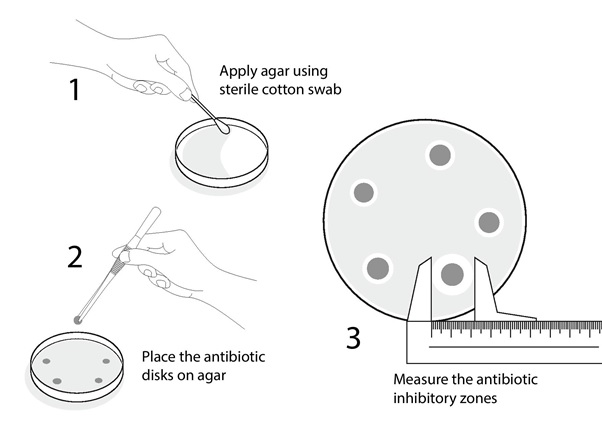 Pharmaceuticals and Microbiology